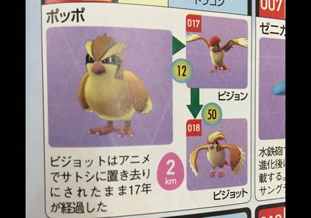 ポケモン　ピジョット